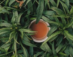 Prirodni antibiotik koji će vas spasiti od bilo koje upale mjehura