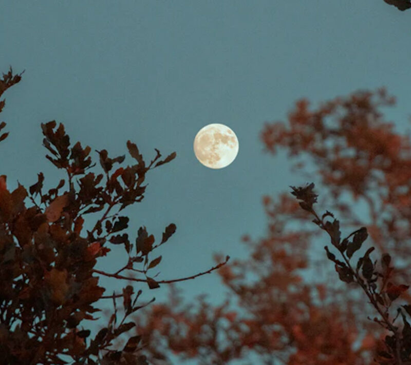Subotnji puni Mjesec intenzivan je i važan za sve, no najviše će utjecati na ova 4 znaka