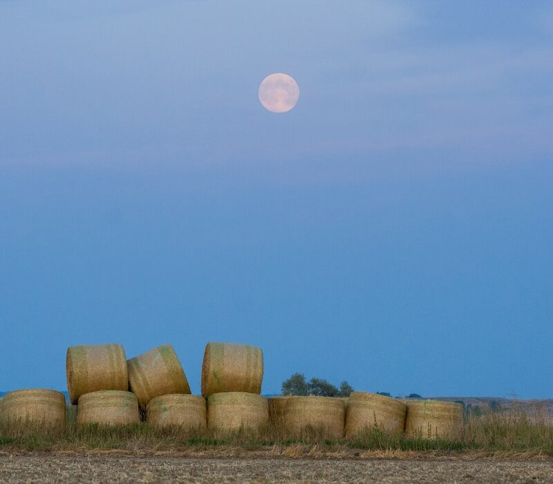 Večerašnji puni Mjesec bitan je za sve, a osobito će utjecati na ova 4 horoskopska znaka