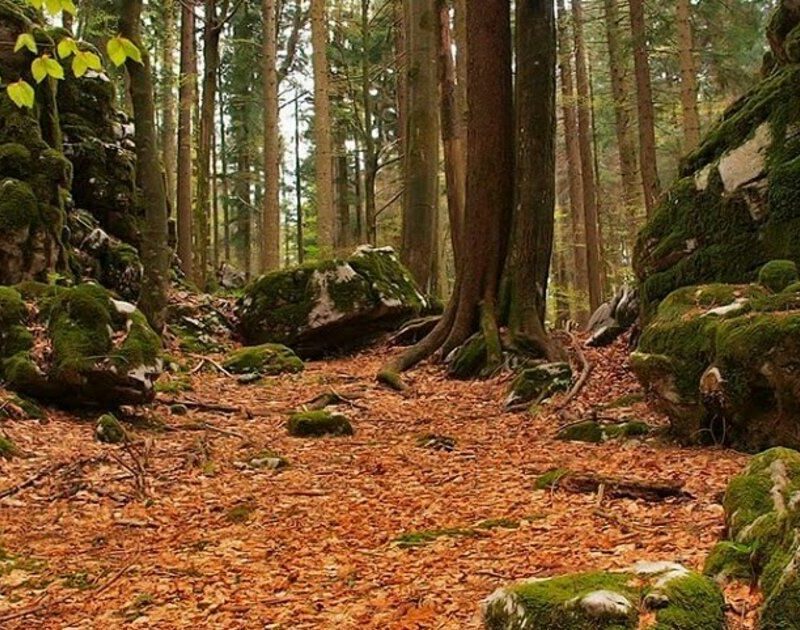 izlet, preporuka izleta, runolist, planinarenje