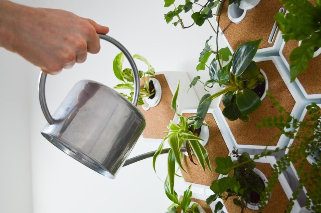 shirinoku, tegla za cvijeće za zid