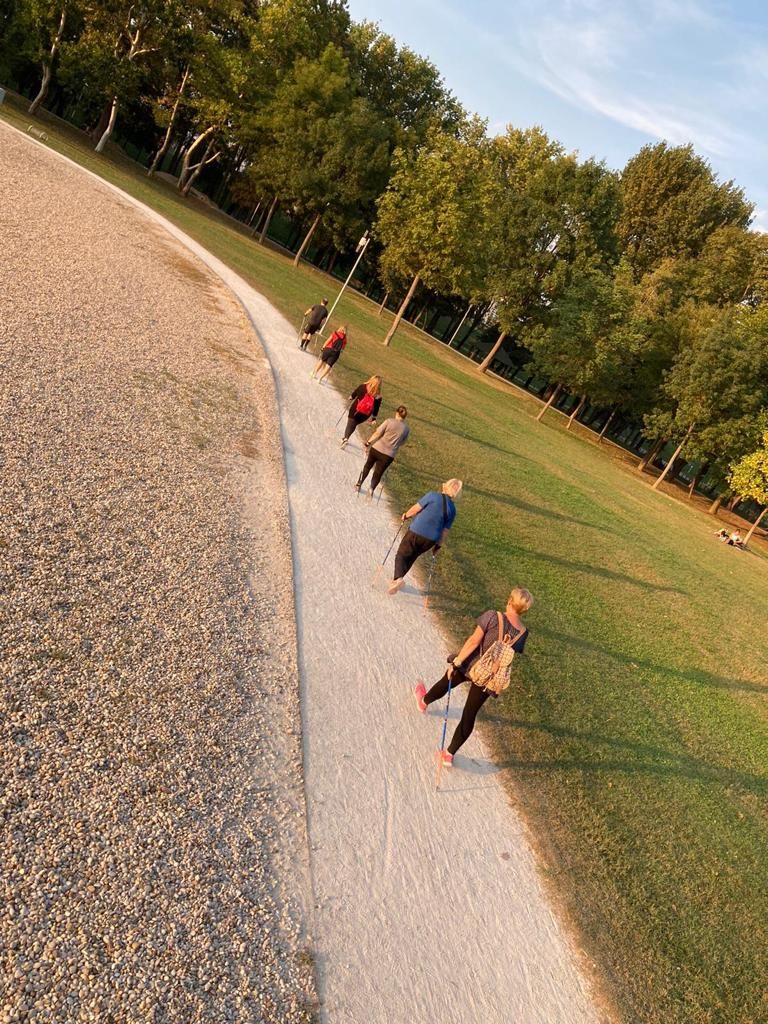 besplatni program vjezbanja