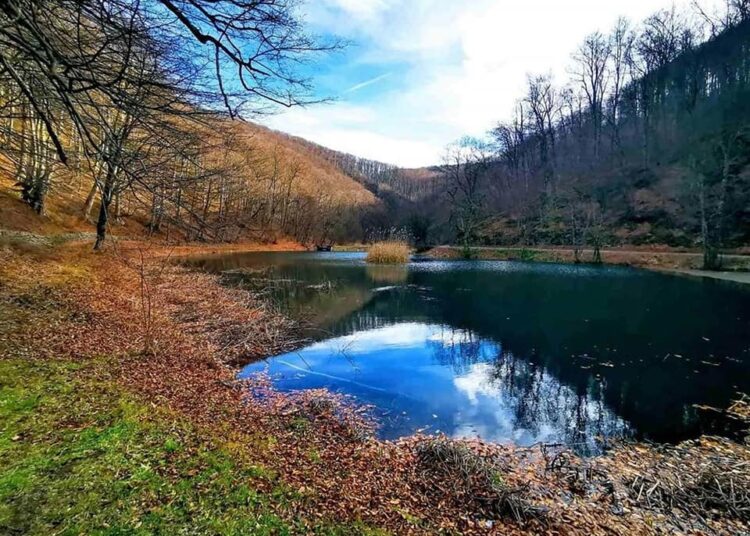 park šuma jankovac, park prirode papuk