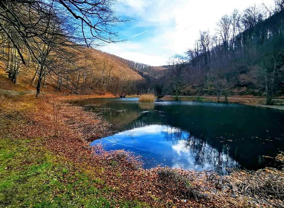 park šuma jankovac, park prirode papuk