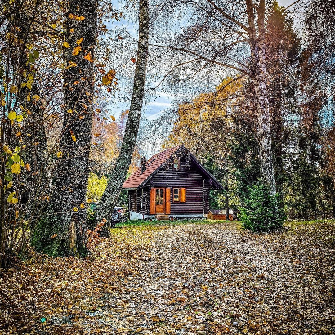 pine lodge, kuća za odmor, gorski kotar