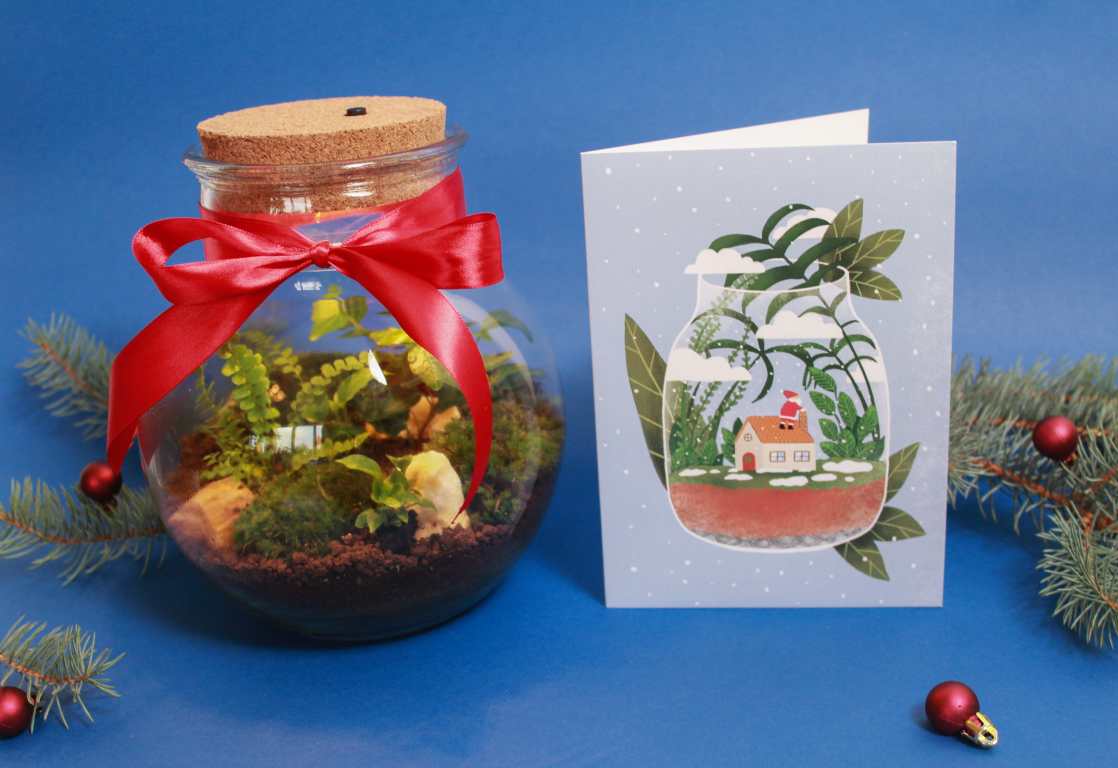 BILJKE.PLANTS božićni ukrasi