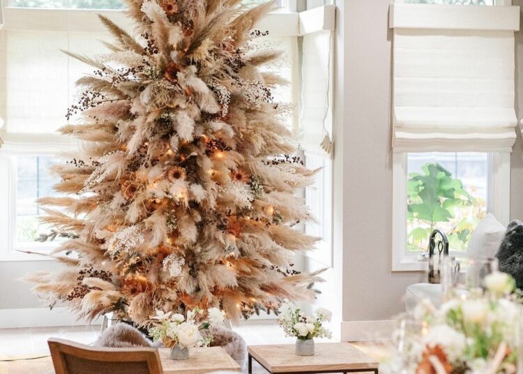 božićna dekoracija, pampas bor