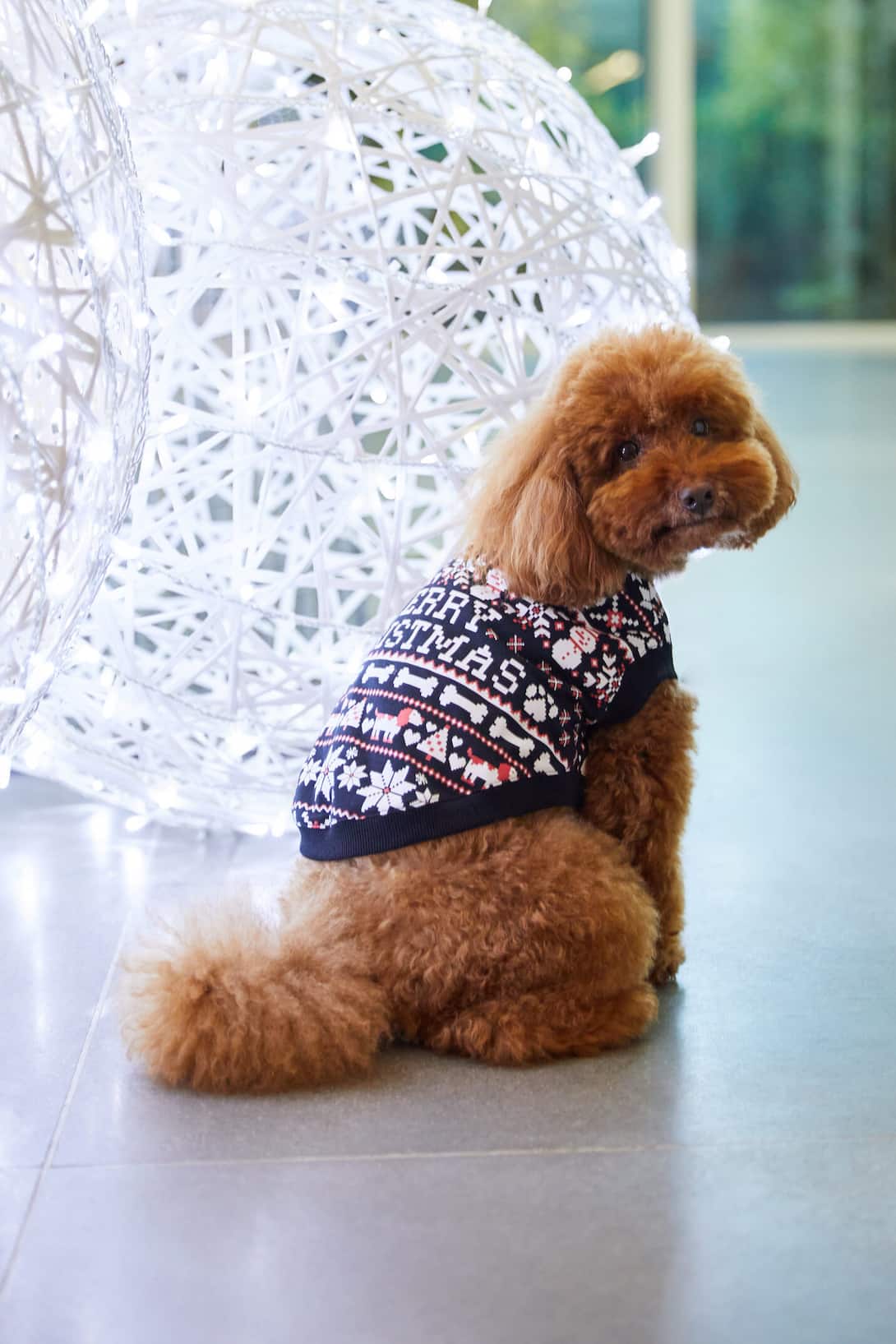 stradivarius pets kolekcija