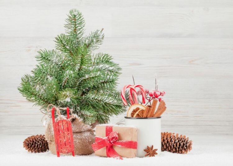 mini bor, mini božićno drvce
