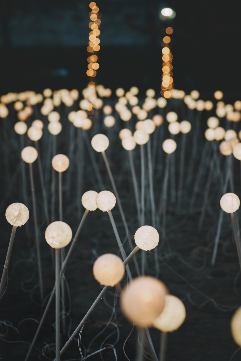 mjesečev vrt advent u zagrebu