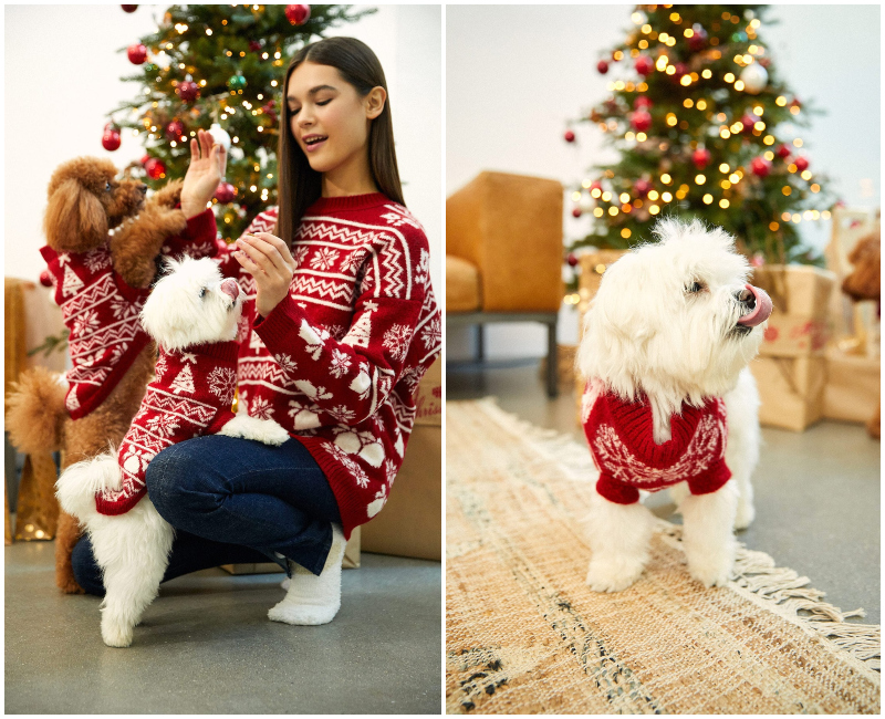 stradivarius pets kolekcija za kućne ljubimce