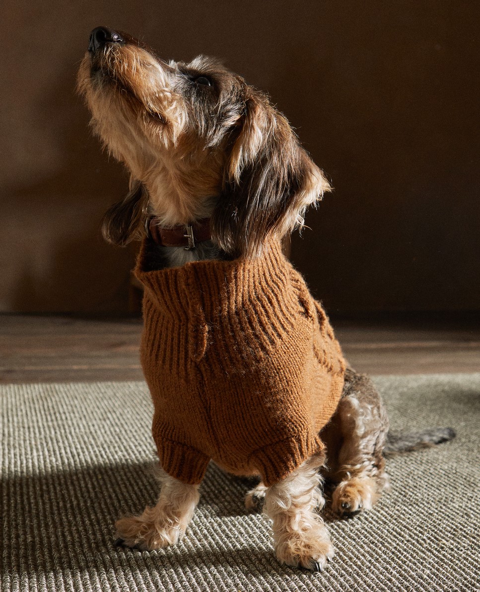 zara home pets kolekcija