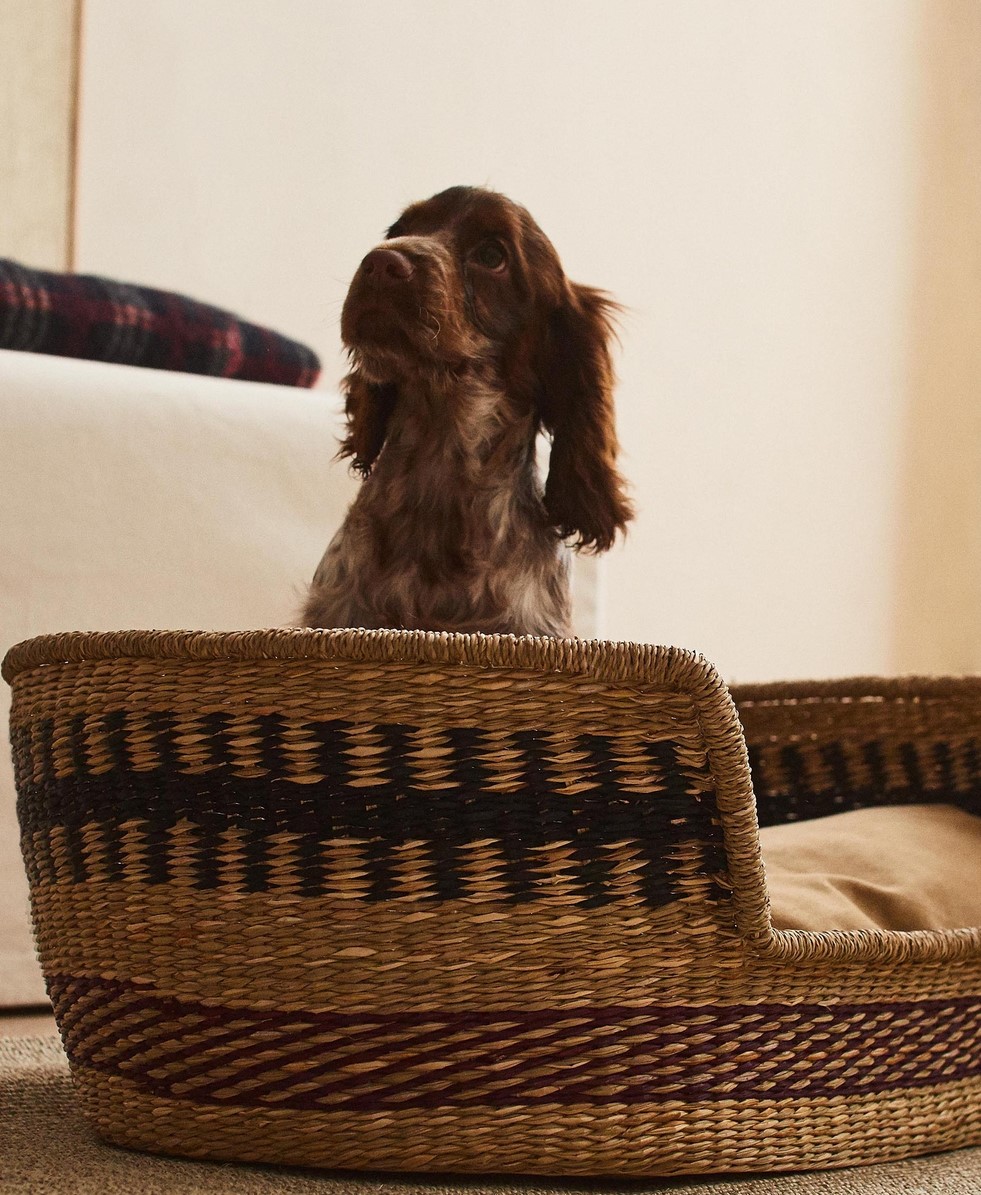 zara home pets kolekcija