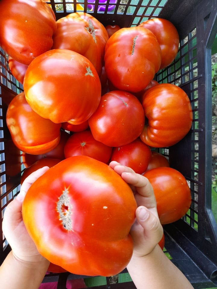 veganski restoran zagreb