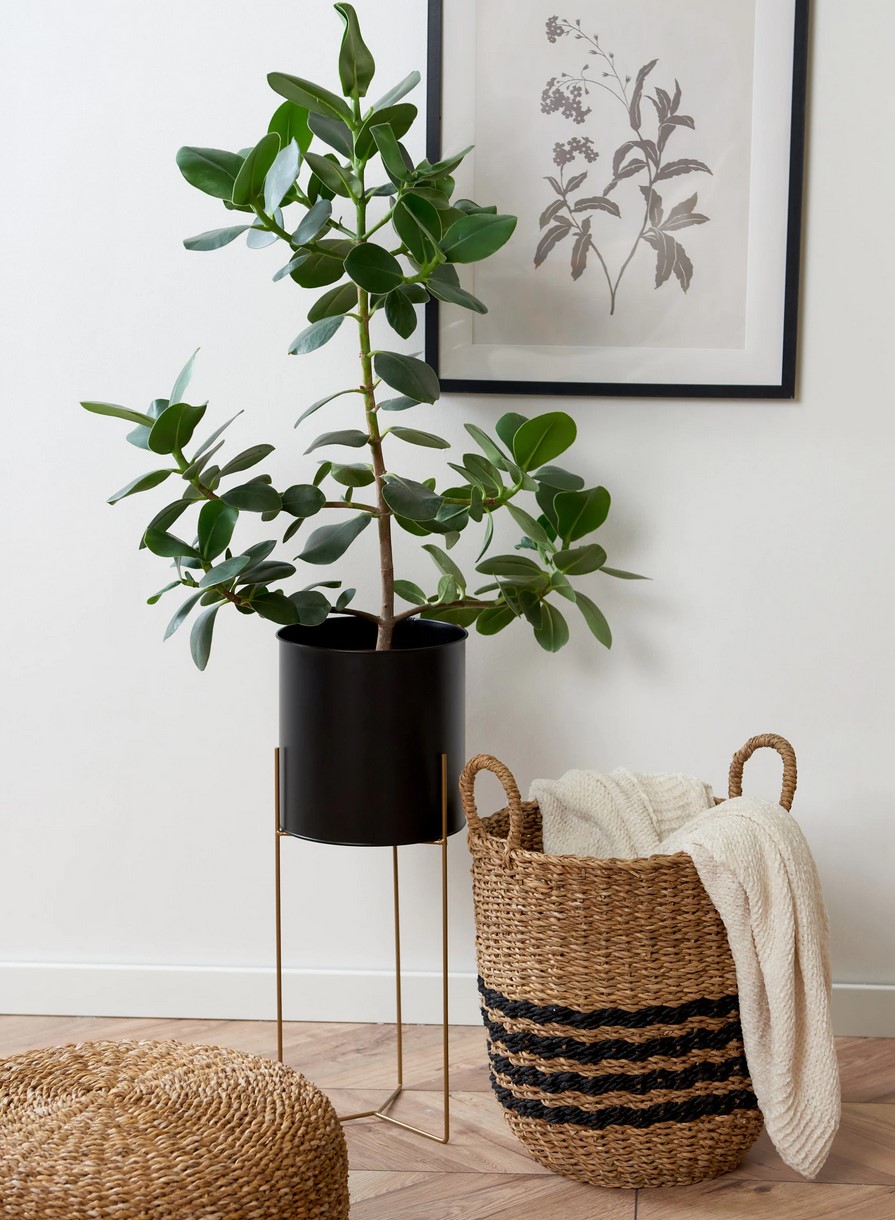 sinsay kolekcija za dom