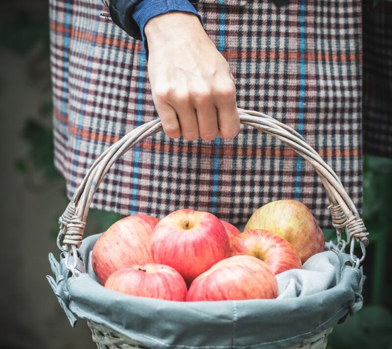 Žena drži košaru s jabukama