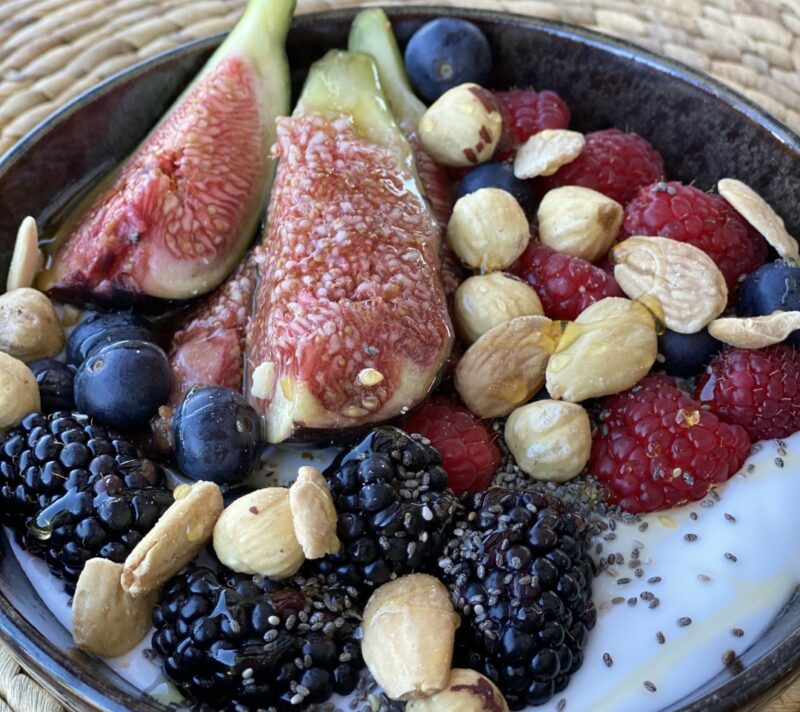 plant based prehrana