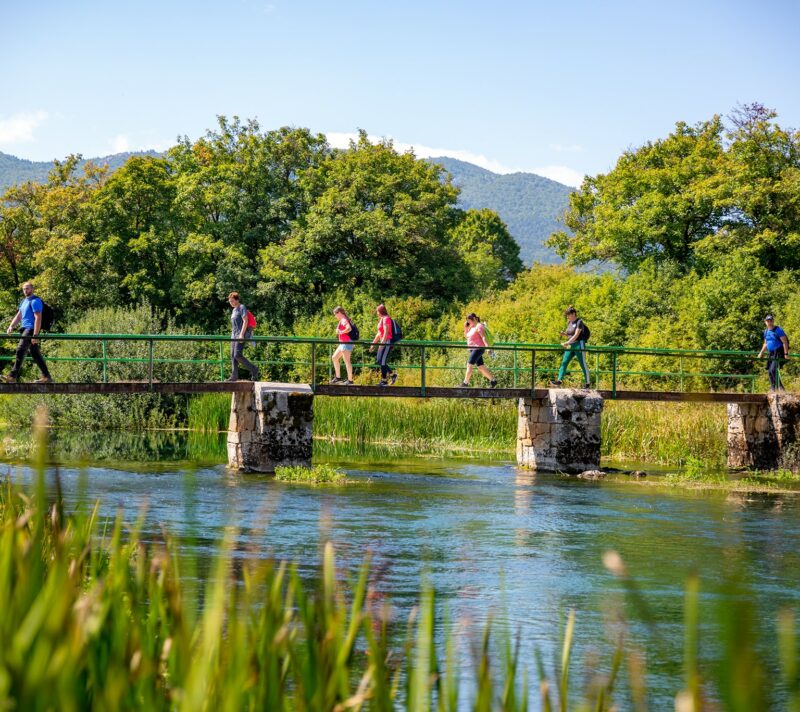 festival hodanja