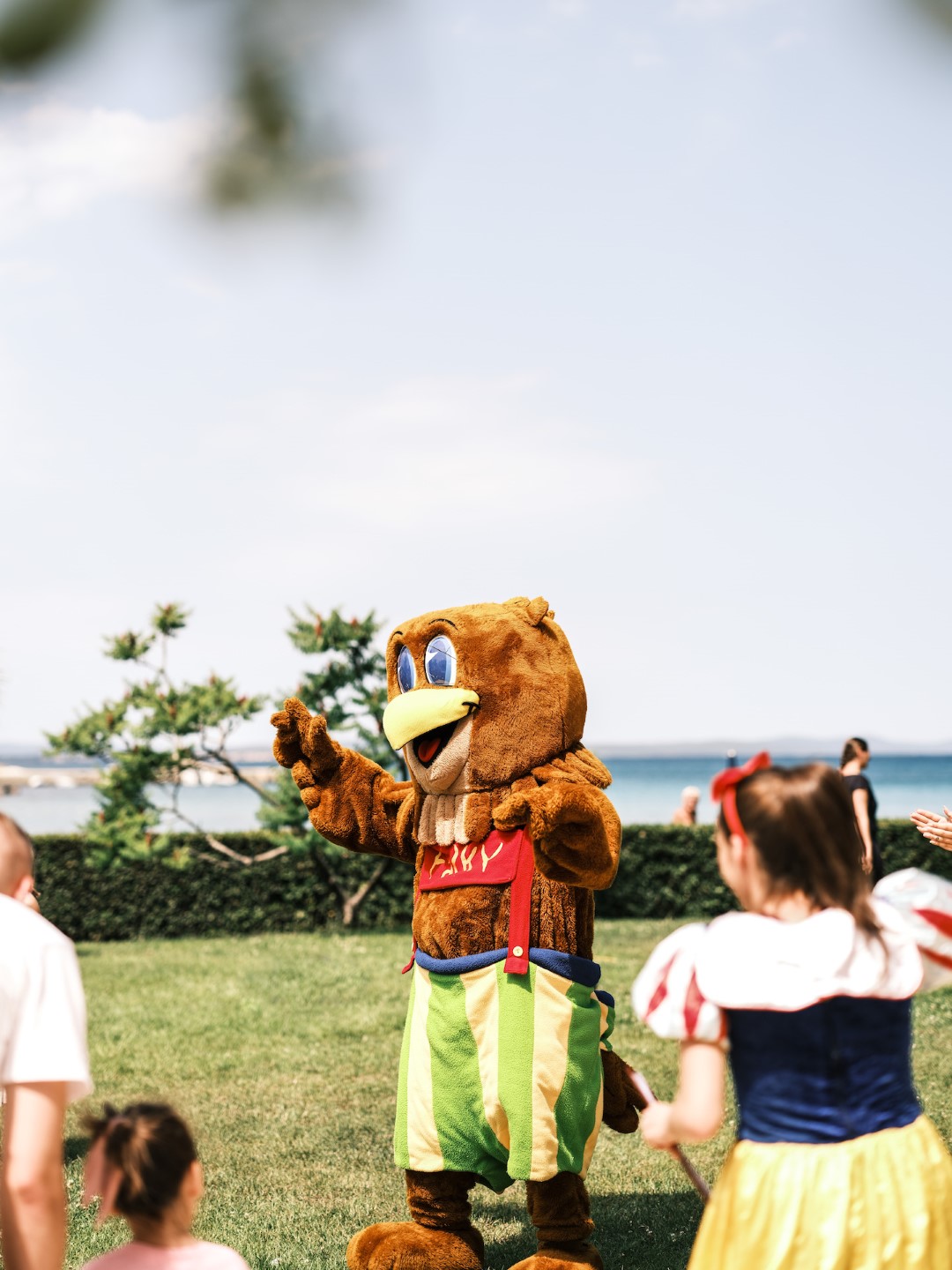 Falkensteiner Club Funimation Borik