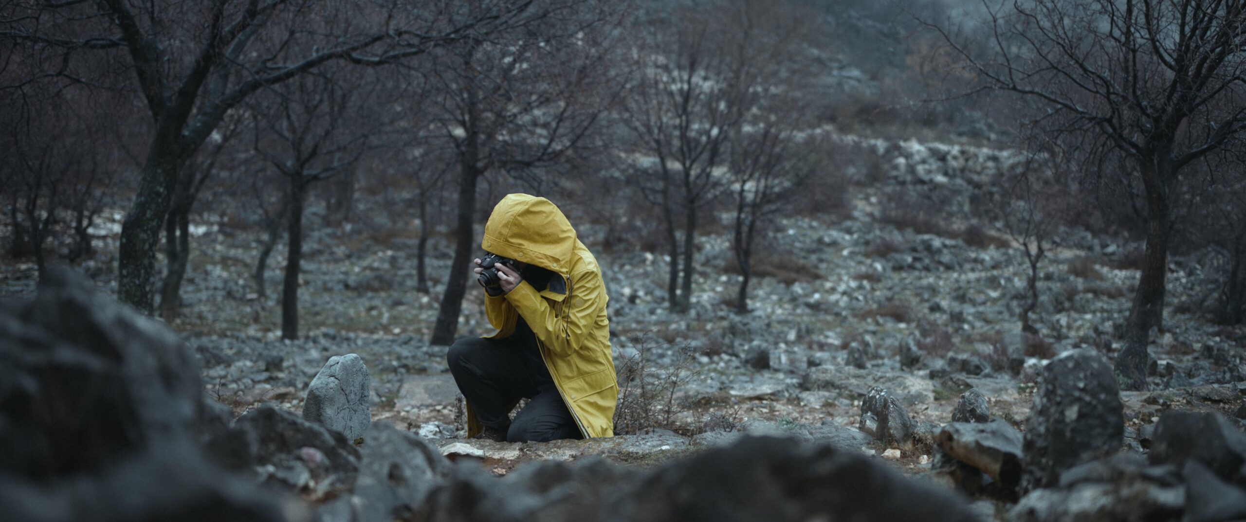 zagreb film festival