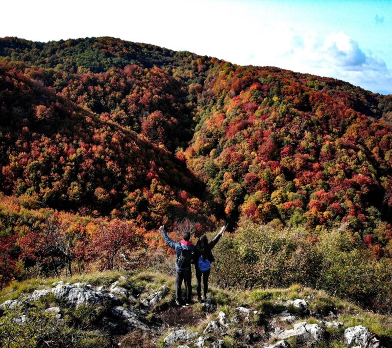 Highlander Medvednica