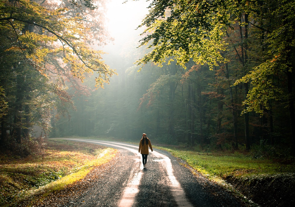 Highlander Medvednica