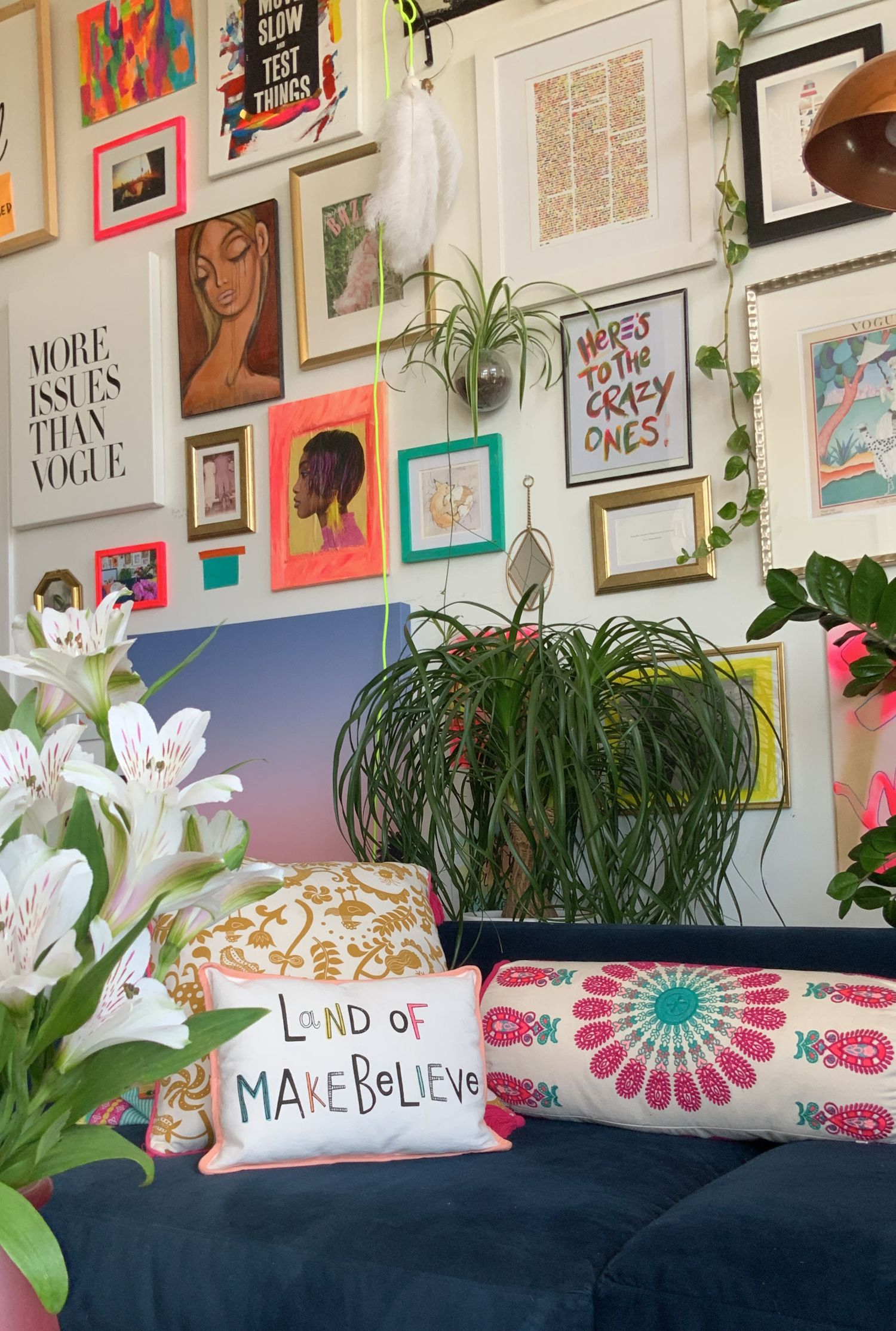 ponytail palm biljka