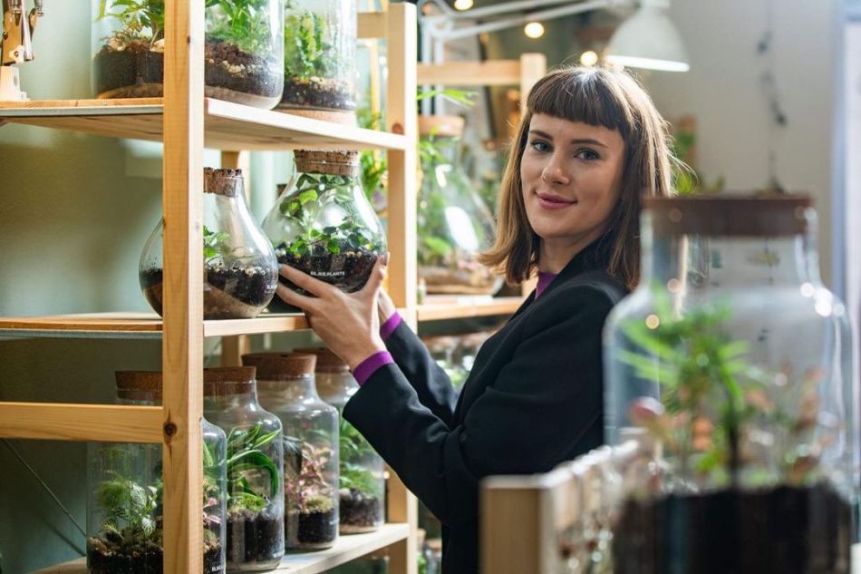 biljke plants terariji