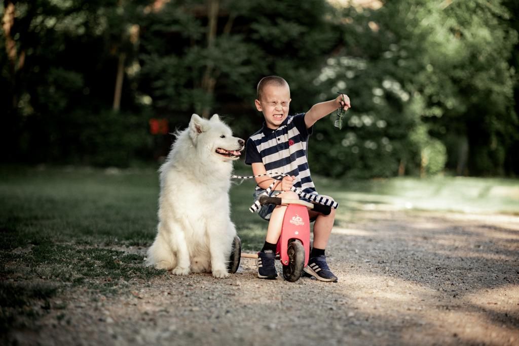 Iva Devčić i Oh my dog brend