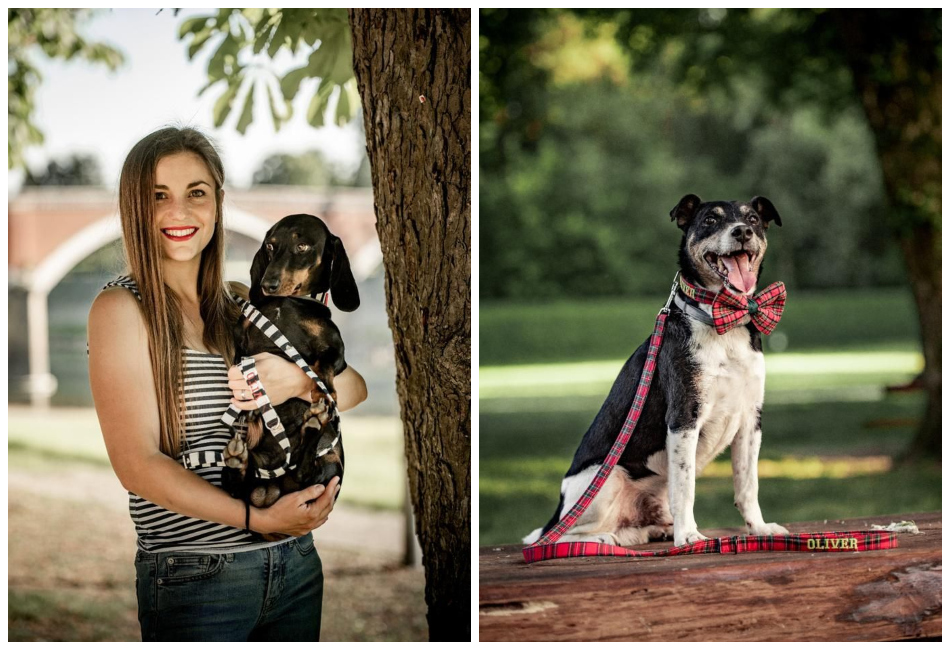 iva devčic i oh my dog