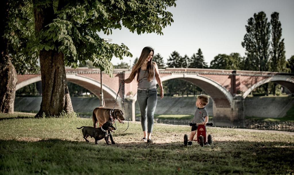 Iva Devčić i Oh my dog brend