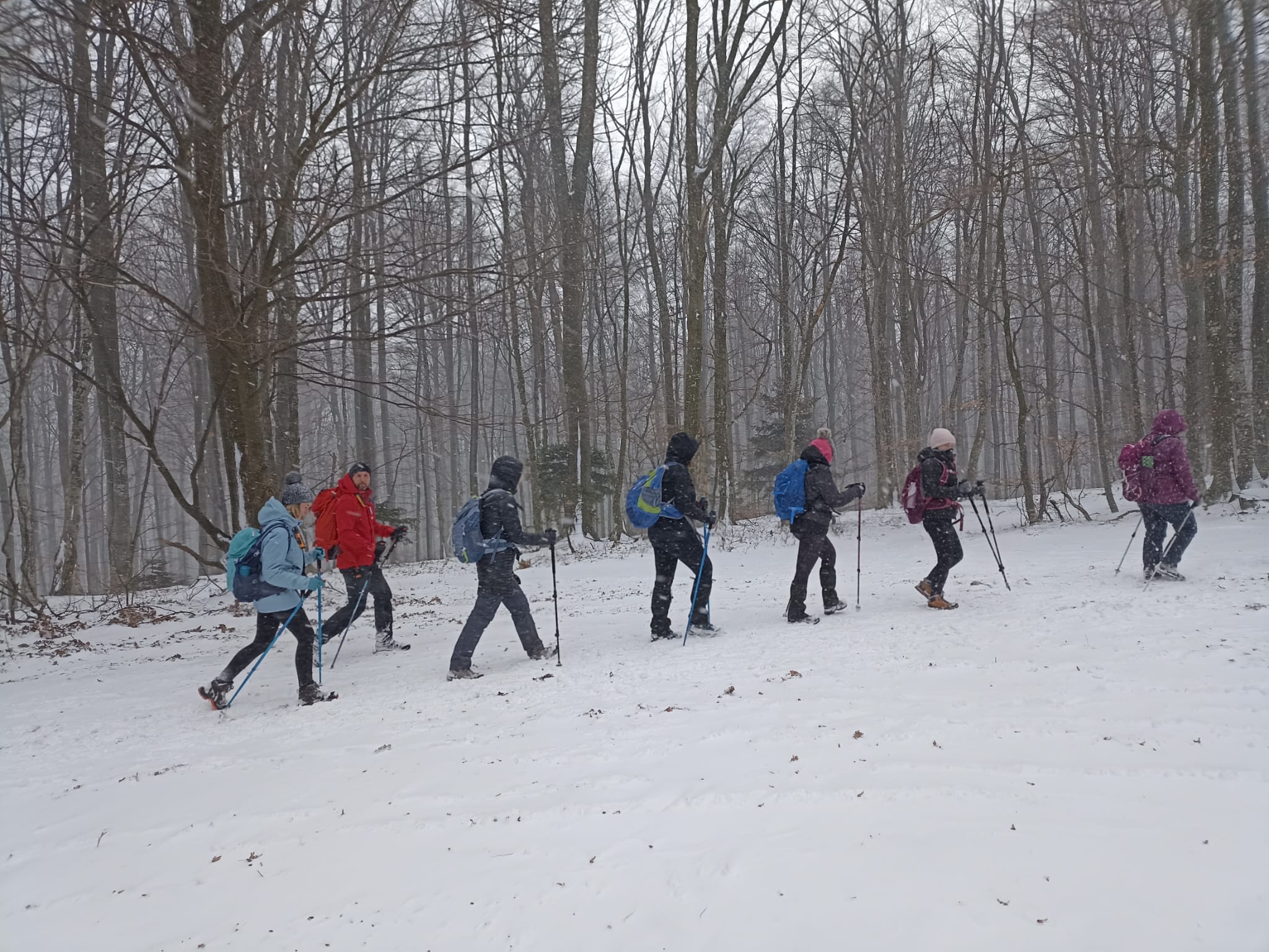 planinarenje hpd runolist