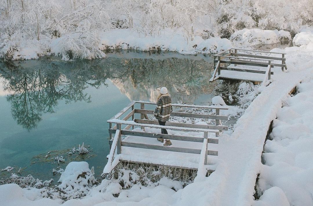 Rezervat Zelenci slovenija izlet