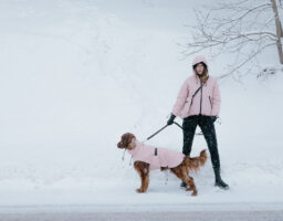 Nove Shibesu jakne vaše će pse (i vas) štititi od vjetra, kiše, snijega i zimskih minusa