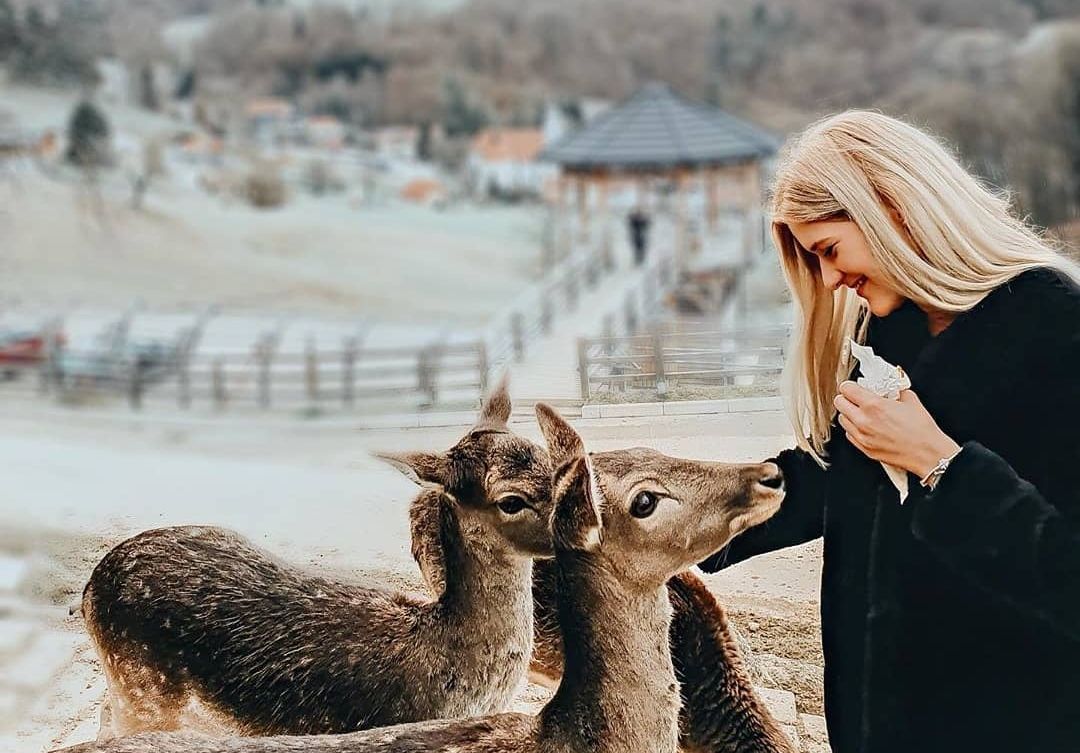 jelenov greben slovenija