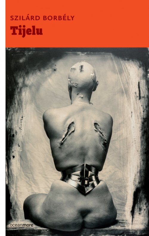 Književne preporuke Sanje Baković