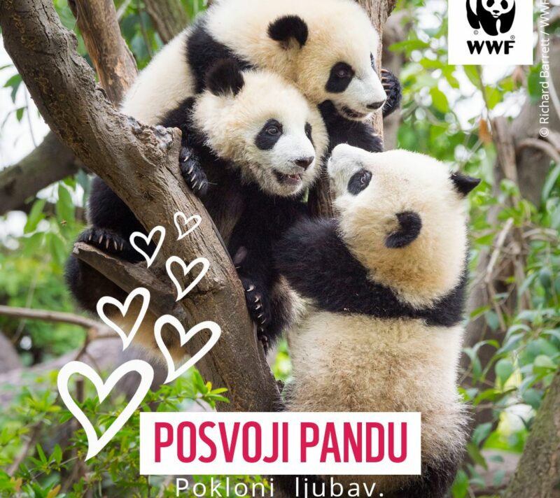 poklon za valentinovo