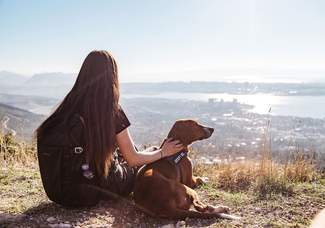 zaklada bestie planinarenje sa životinjama