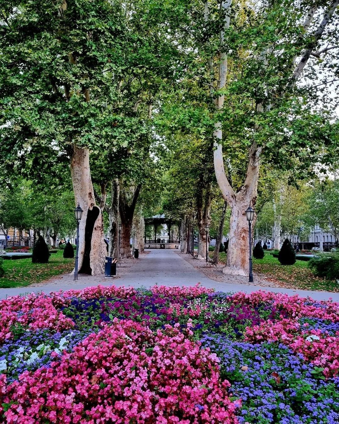 botaničke šetnje zagreb