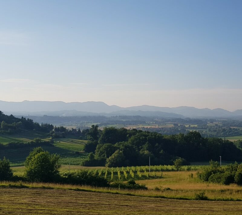 život u prirodi