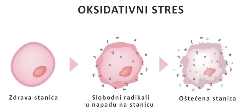 oporavak kože nakon ljeta