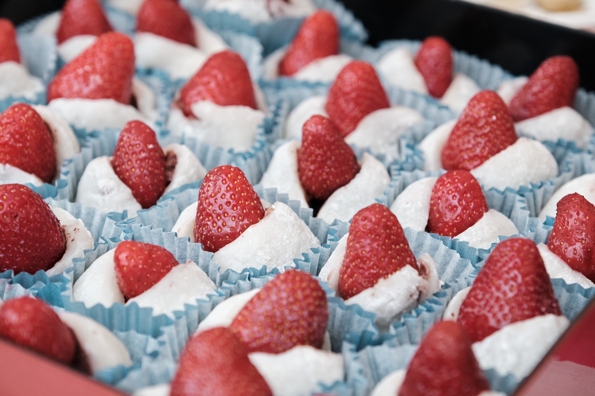 inspirativni razgovori na 15. ZeGeVege festivalu