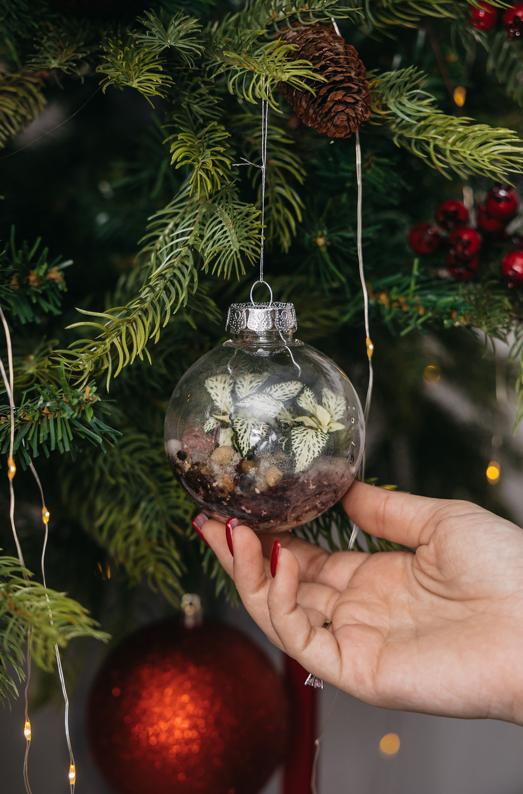 biljke.plants kuglice