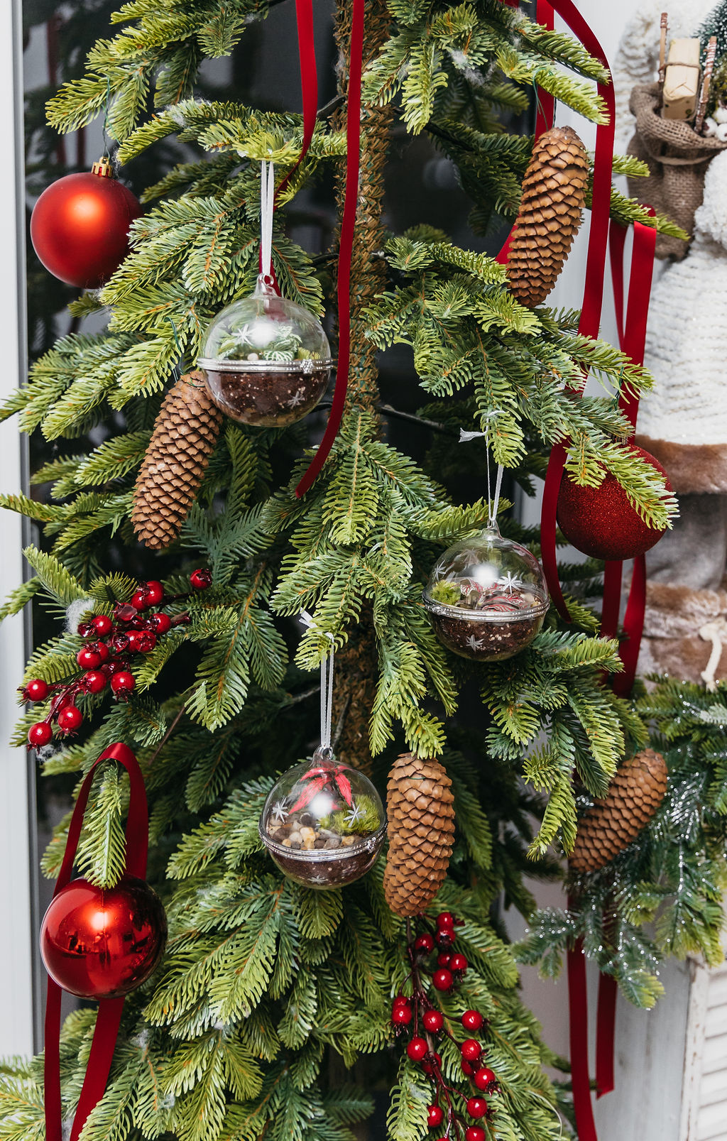 biljke.plants kuglice