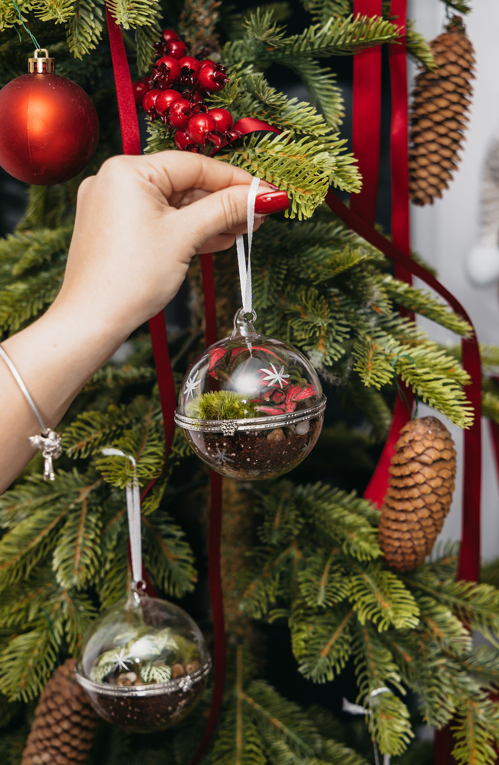 biljke.plants kuglice