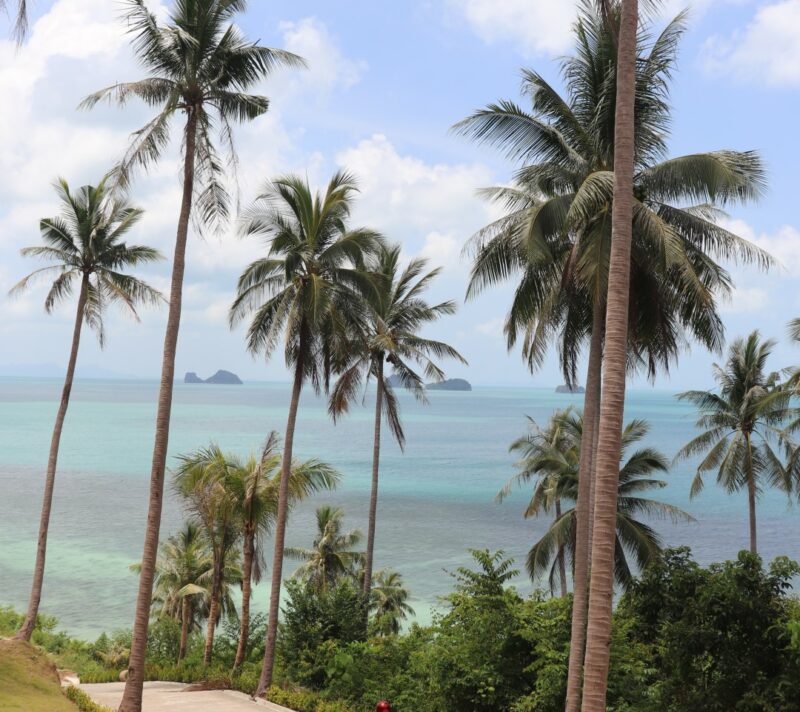 koh samui tajland vodič