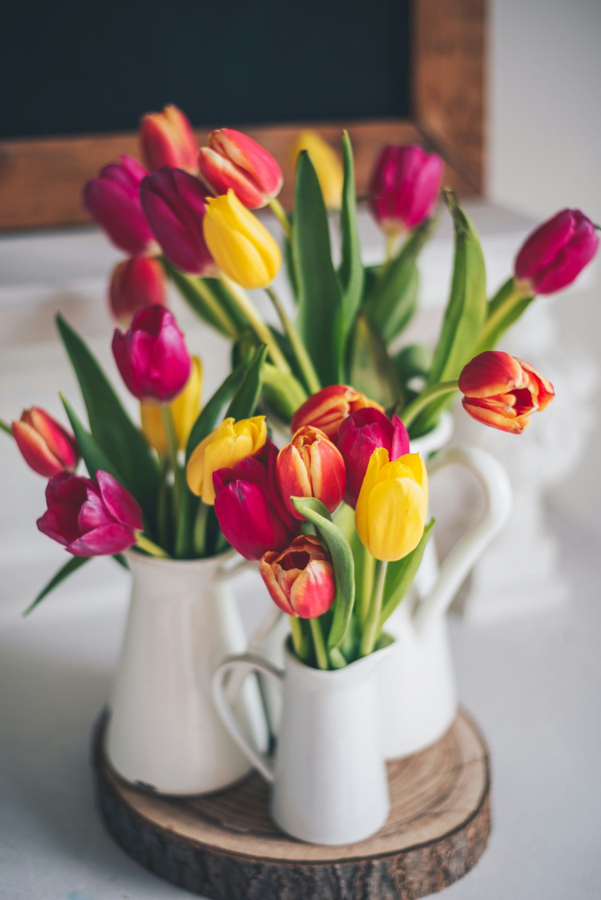 kako tulipane održati svježima u vazi