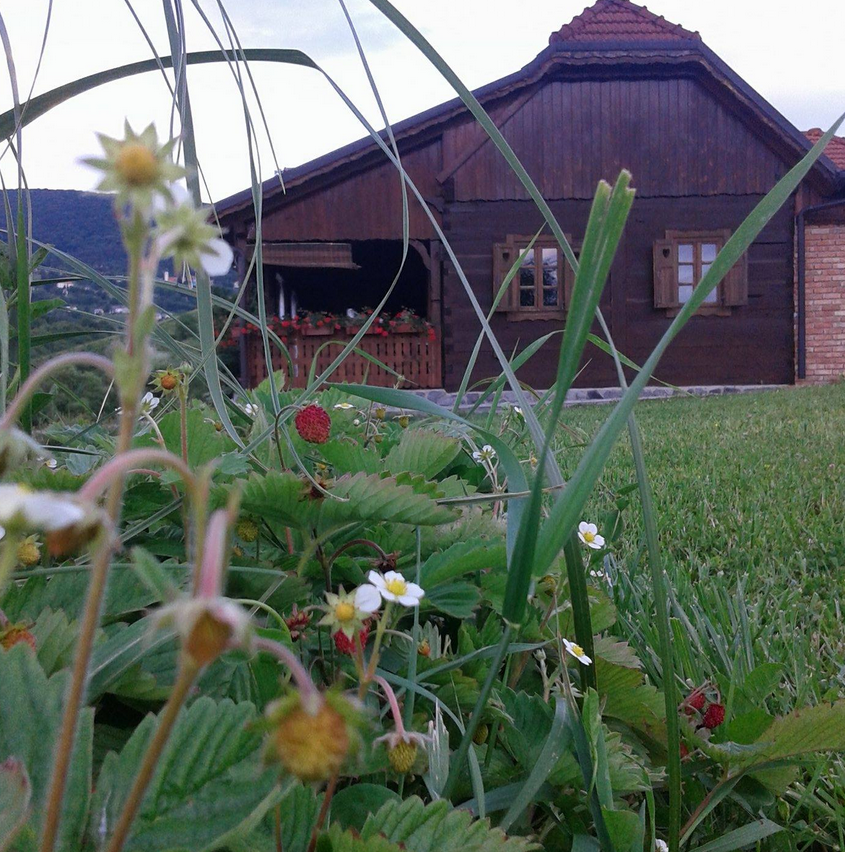 seoska domaćinstva hrvatska preporuke
