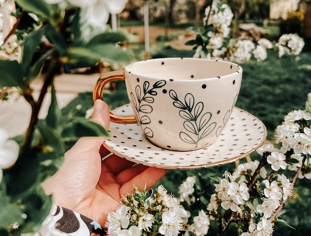 chia cups rasprodaja