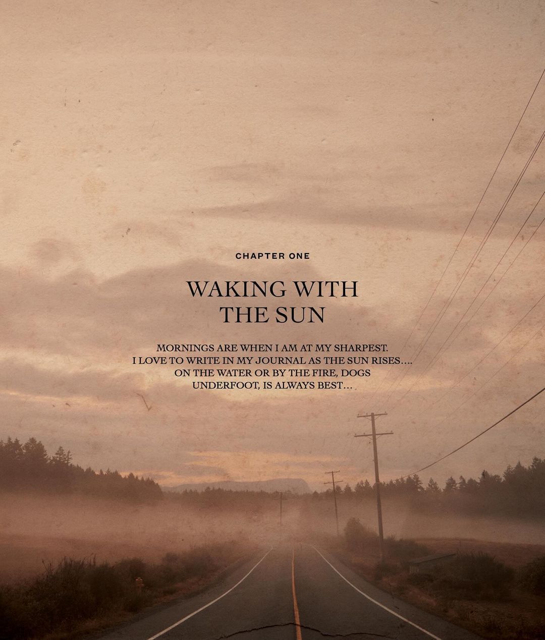 pamela anderson kuharica